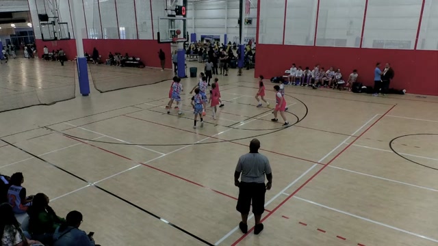 Mamba Elite vs Pink 12U