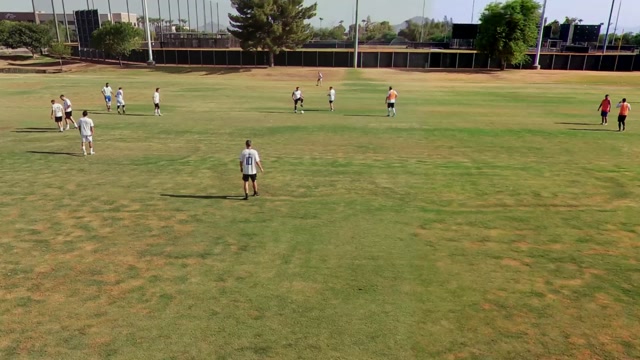 Barca white vs Low T