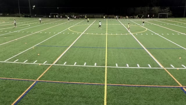 Lions FC vs Pelayo Fútbol Club