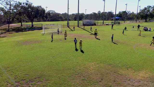 AFC Central 17B Academy South vs LASE LION CUBS U8
