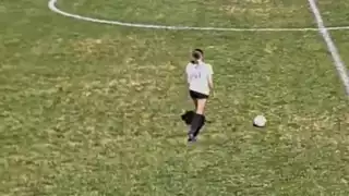player 91
