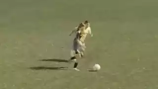 player 40