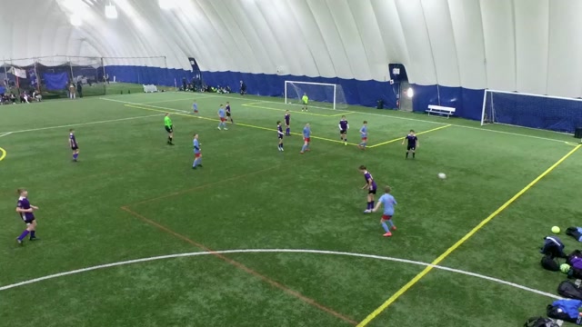 lCC 2014 vs MSC 2014 Purple