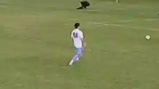 player 88