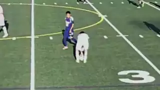 player 8