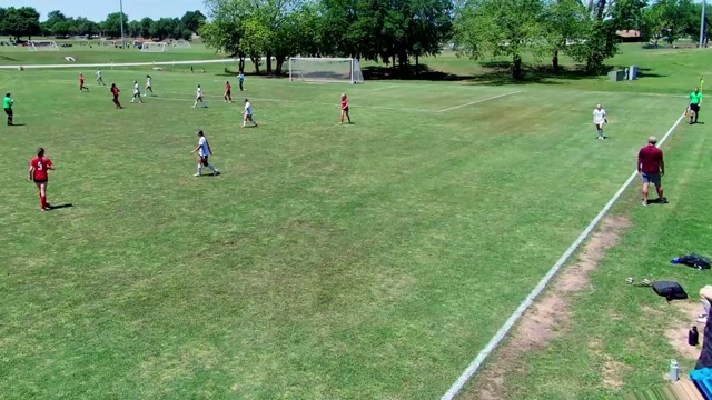 Mustang vs MWC Vision 2010G