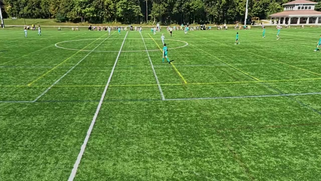 Greene County Cosmos 2012-2013 Boys White vs Mileniumum youth soccer highlights