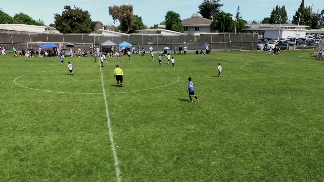 Eastshore Alliance FC Alliance 2015B Navy vs FC Bay Area Surf 15B Pre-NPL