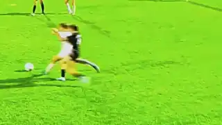 player 23