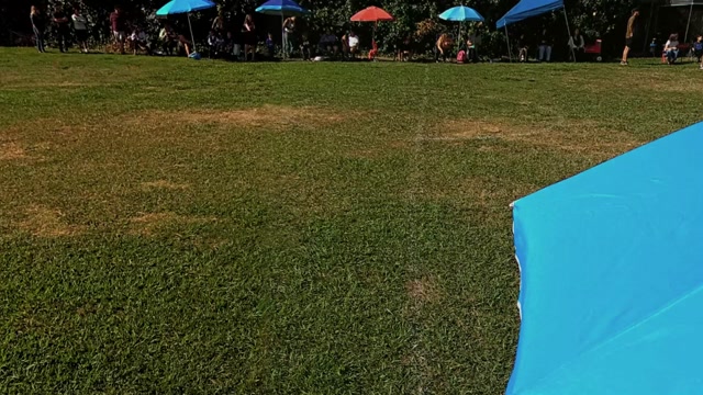 "Inter" vs MLD