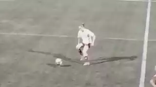 player 11