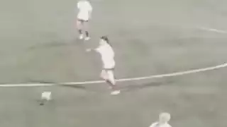 player 5