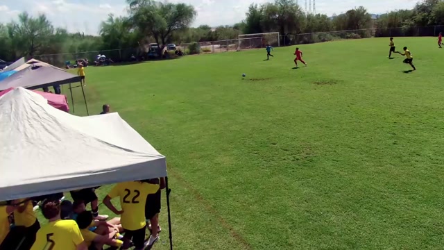 2011 Black vs Sansharks 2011 E64