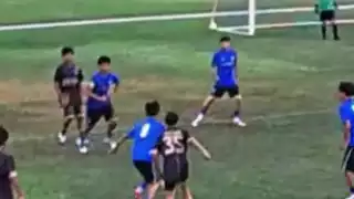 player 31