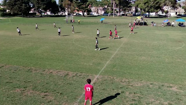  Scorpions vs B09 PREMIER - DR
