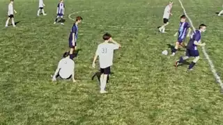 player 31