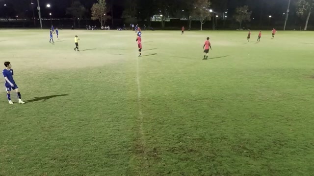 Walnut vs Chino 19UB 2025