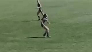player 24