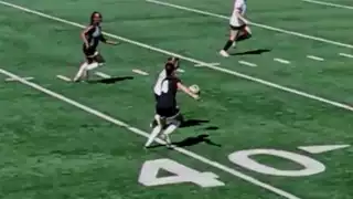 player 31