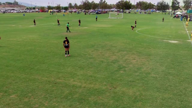 Legends G09 NPL Gold vs Legends Fc G09 White NPL