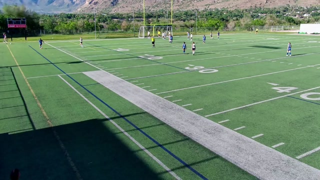 Vipers FC G11-DN vs Ogden Soccer GIRLS
