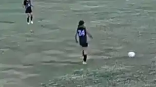 player 24