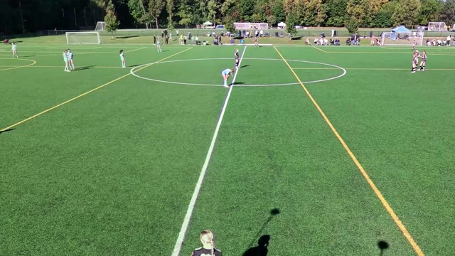 Michigan Tigers 2010 vs Central Illinois United 2010 Girls