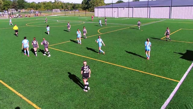 Michigan Tigers 2010 vs Central Illinois United 2010 Girls