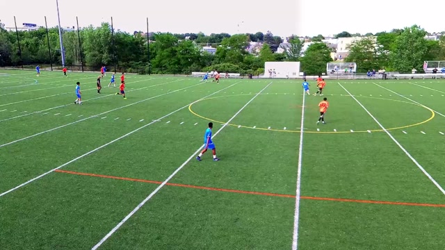 Everett B11PG-1 vs B11+ Blue