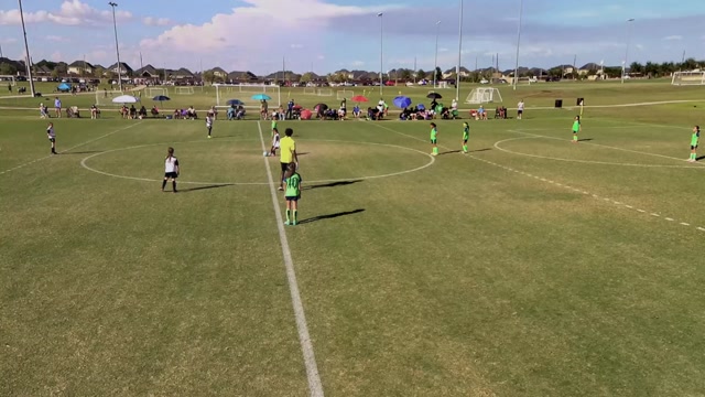 Pearland Soccer Club 08 Elite Girls vs Htx 2016G GOLD