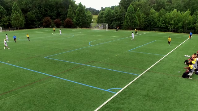 Fox Fc vs GFC