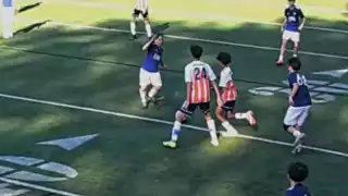 player 24