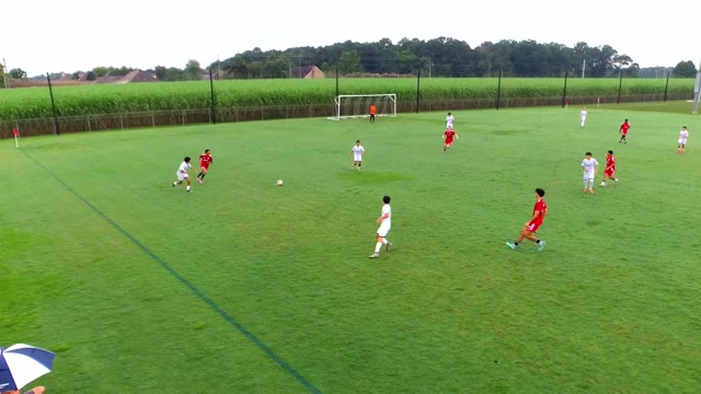 RISE vs 08/09 Odp