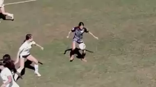 player 19