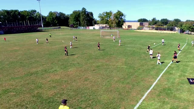 West Essex vs Brearly
