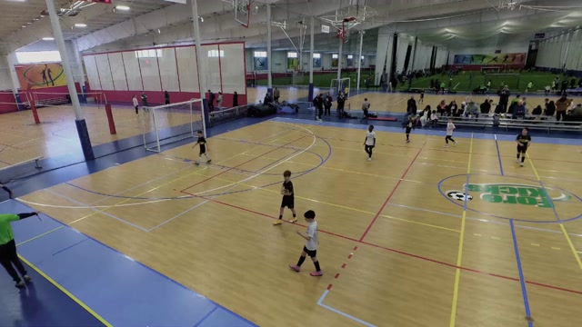 Beestera 2016 Futsal vs CT Selct Black