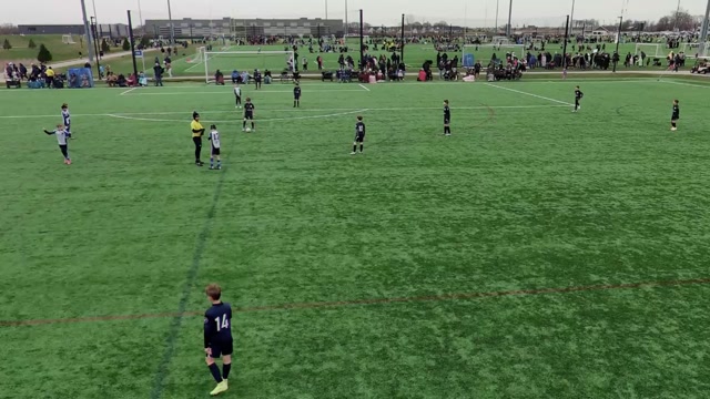 Dynomo vs Tigers 2015