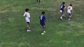 player 75