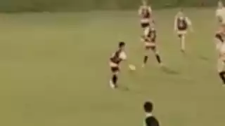 player 225