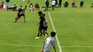 player 24