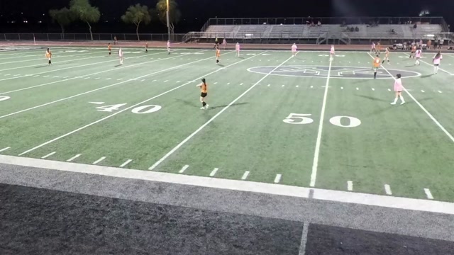 PHX Heat vs WPSL State 48 Sahuaro