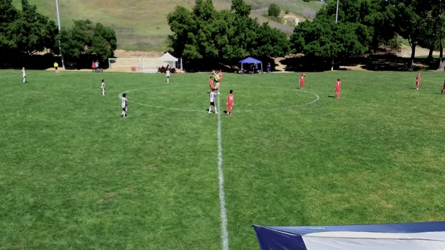 Revolution 2015B Blue vs 2015 Mustang Elite