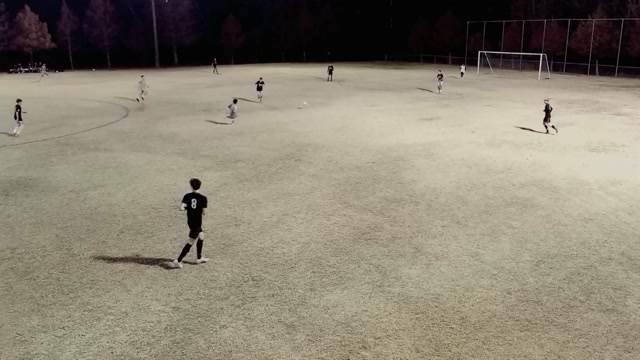 CESA 2010B USYS NLSC vs CESA 2010B USYS-NL