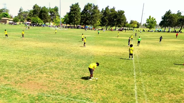 LASC B11 vs FCA HD B11 Groom
