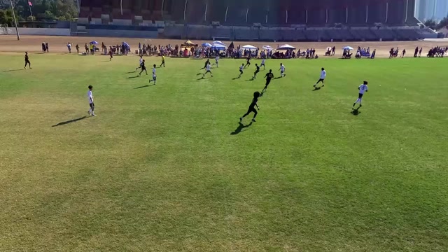 Premier Touch B2011 vs FCA HD B11 Groom