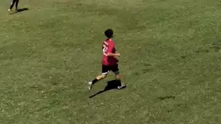 player 24