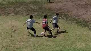 player 20