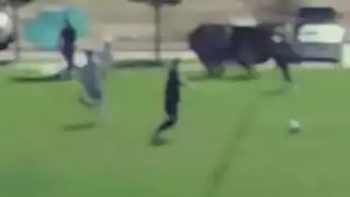 player 21