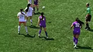 player 24
