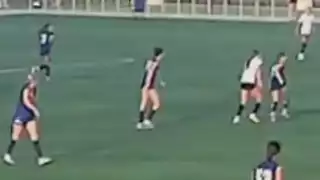 player 31